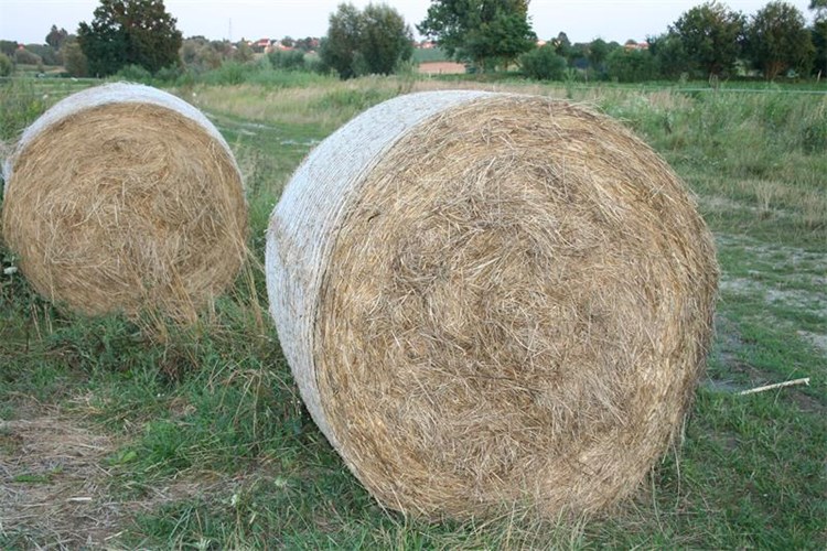 Slika PU_BB/slike vijesti/rolo-bale.JPG